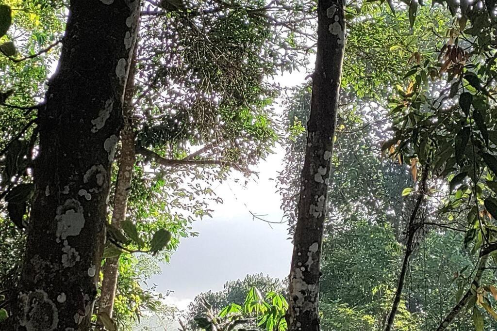 Coffee Camp Home Stay With Tree House Kattappana Exterior foto