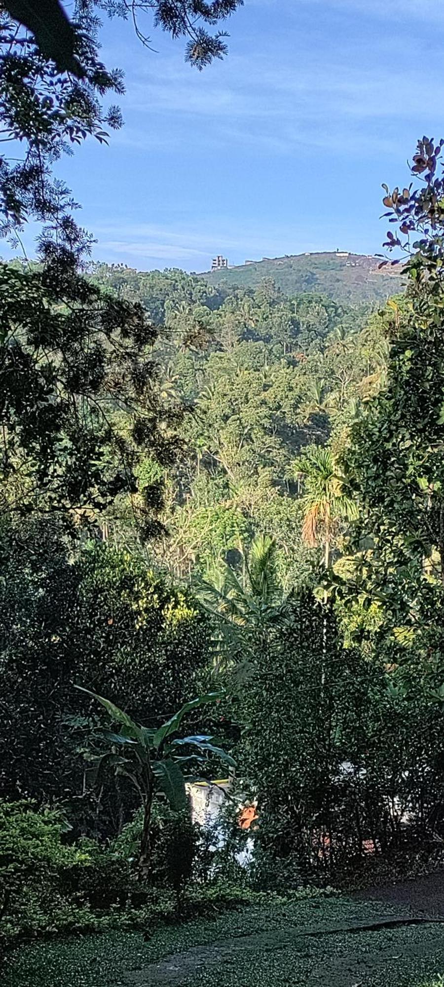 Coffee Camp Home Stay With Tree House Kattappana Exterior foto